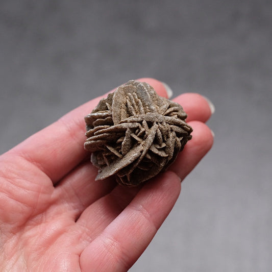 Desert Rose Selenite Specimen | Gypsum Raw Crystal
