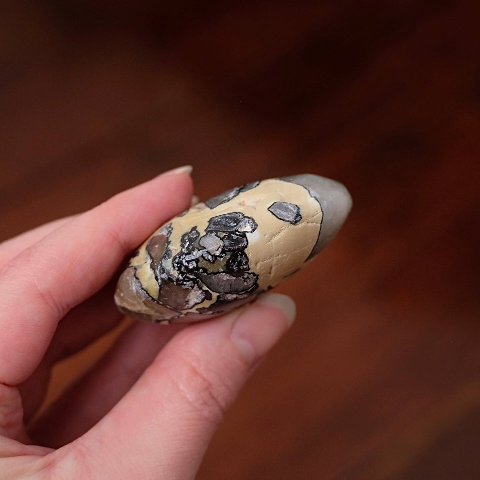 Mosaic Quartz Palm | Mosaic Chalcedony Crystal Palmstone