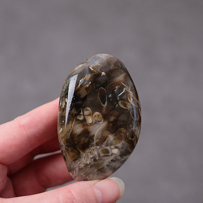 Australian Peanut Wood  | Polished Peanut Wood Crystal Freeform