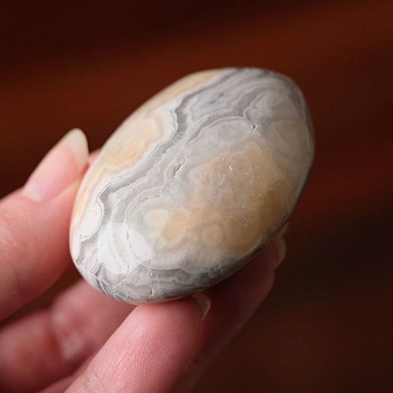 Crazy Lace Agate Palm | Mexican Crazy Lace Crystal Palm