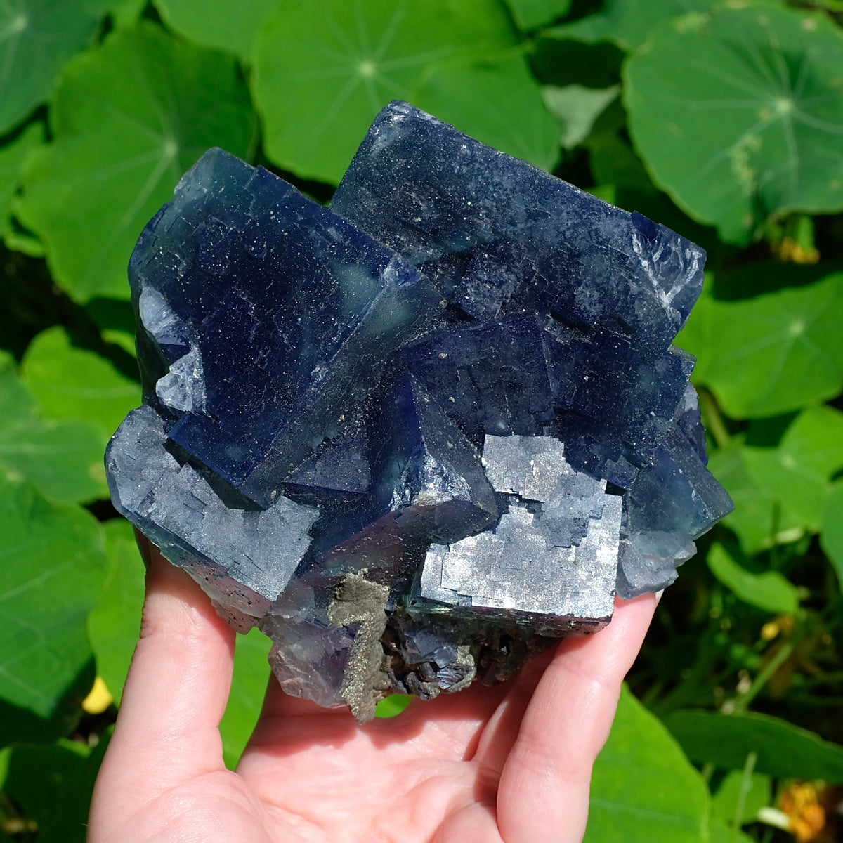 Nigeria Sunshine Fluorite | Colour Change Fluorite Specimen