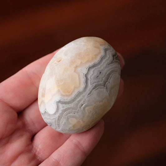 Crazy Lace Agate Palm | Mexican Crazy Lace Crystal Palm