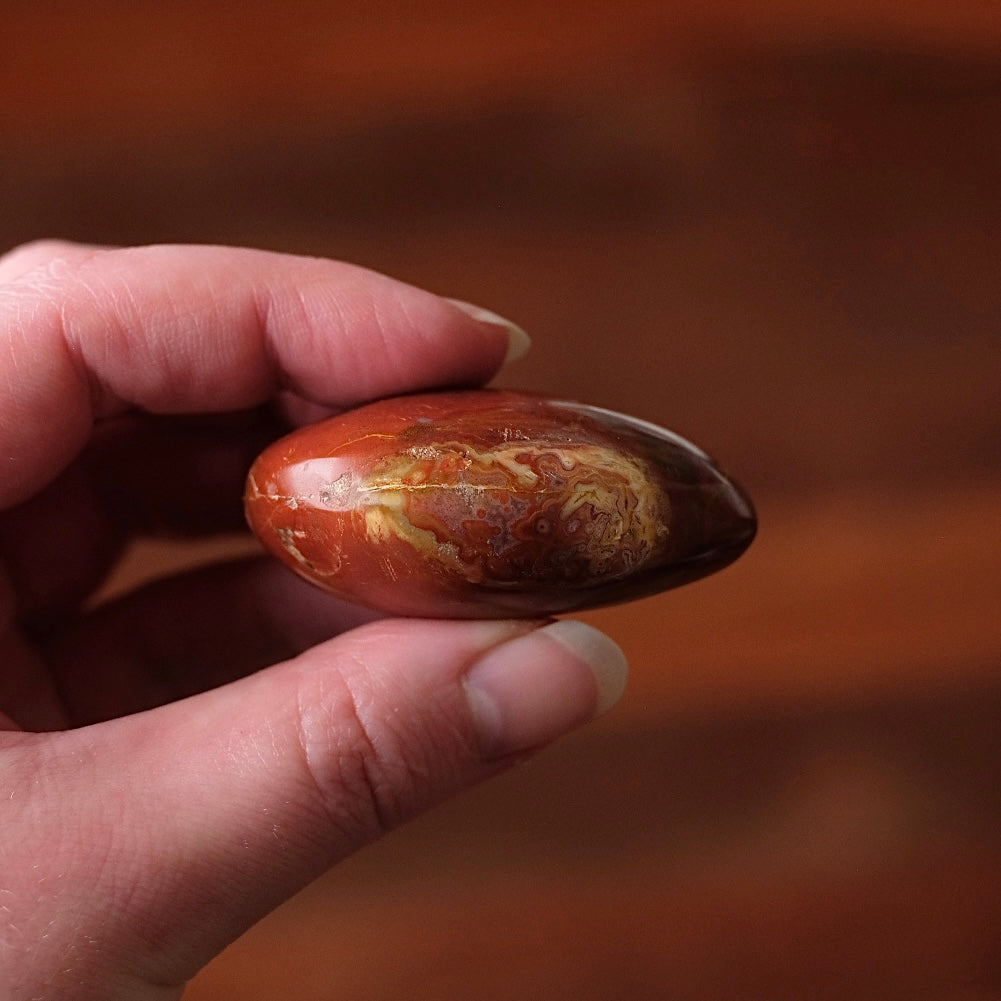 Red Petrified Wood Palm | Fossilized Wood Crystal Palmstone