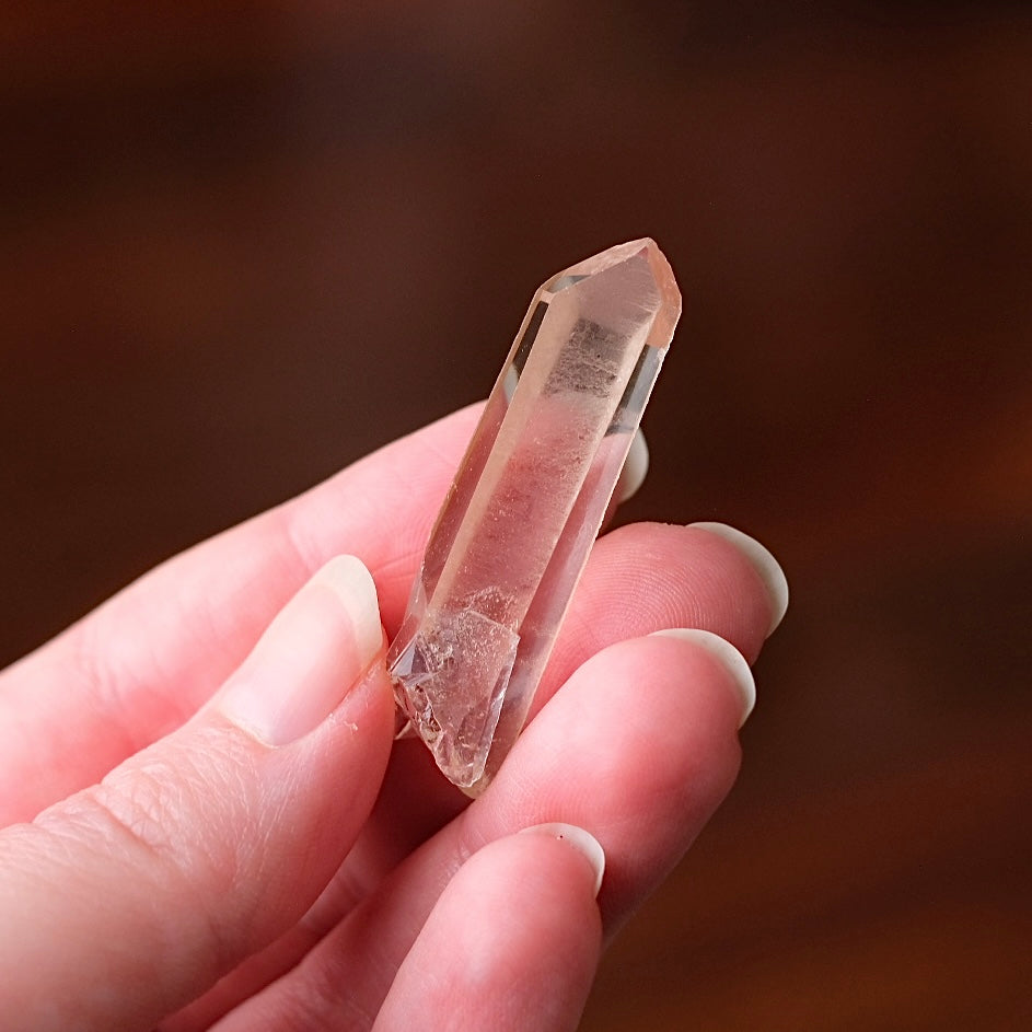 Starbrary Quartz Point | Quartz Crystal Specimen