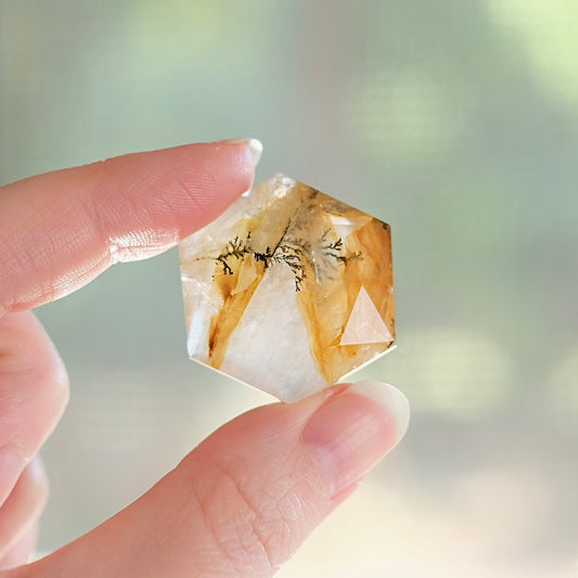 Dendritic Quartz Hexagon | Golden Healer Crystal Jewel | Star of David