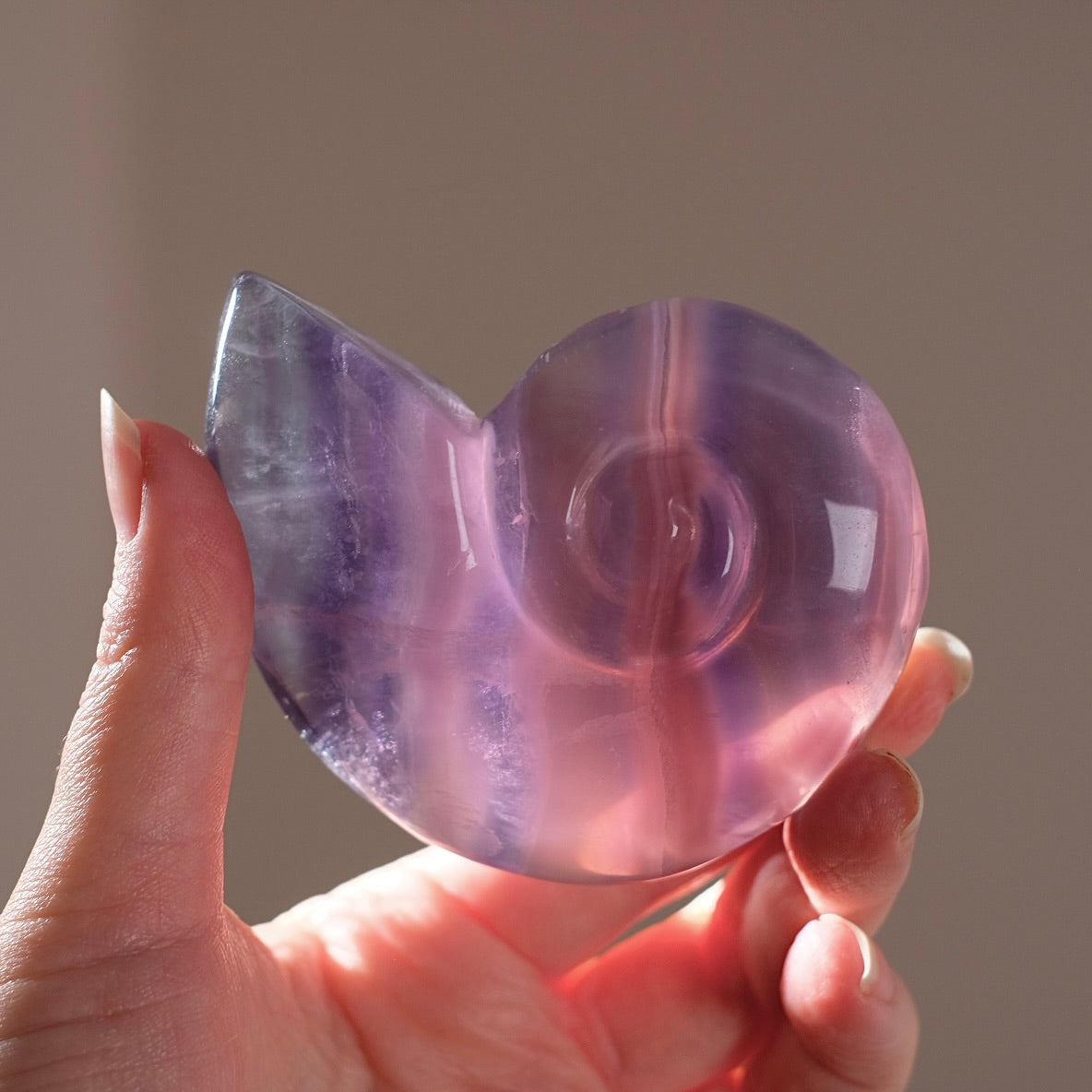 Yttrium Fluorite Ammonite Carving | Pink Fluorite Crystal Shell