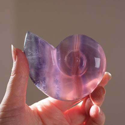 Yttrium Fluorite Ammonite Carving | Pink Fluorite Crystal Shell