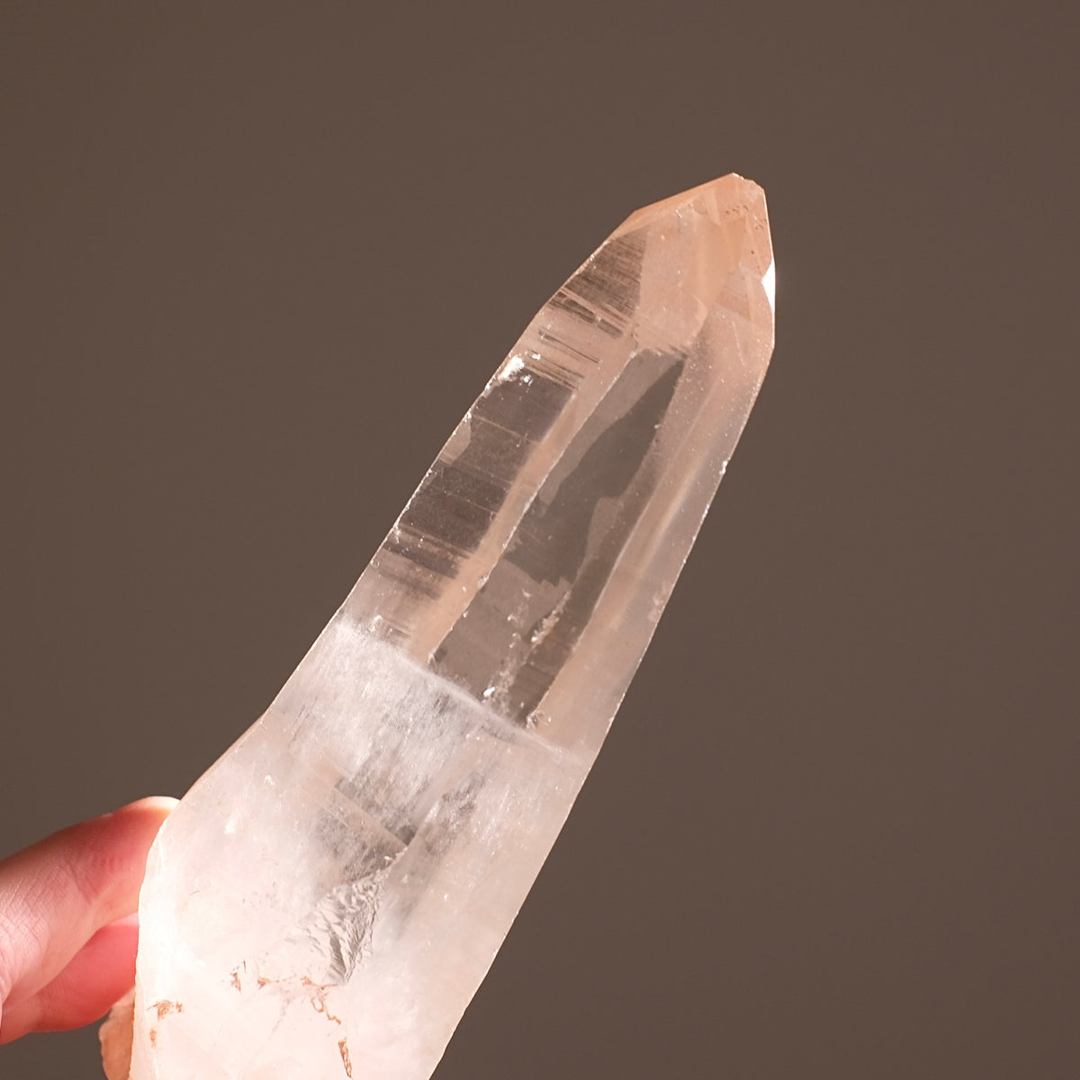 XL Scarlet Temple Lemurian Quartz Point | Pink Lemurian Seed Crystal