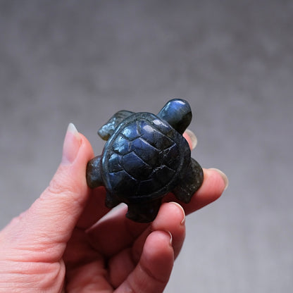 Labradorite Turtle Carving | Crystal Animal | Crystal Turtle