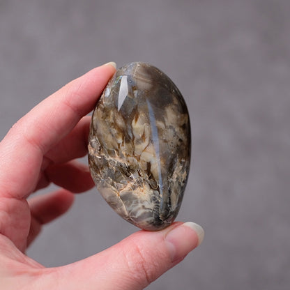 Australian Peanut Wood  | Polished Peanut Wood Crystal Freeform