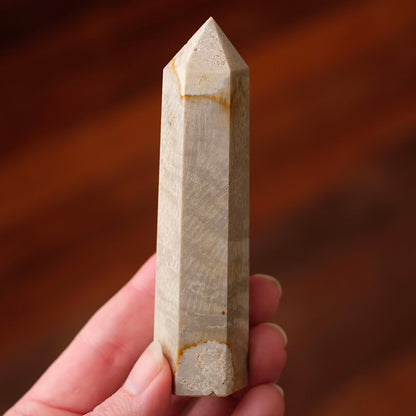 Coral Fossil Point | Coral Crystal Tower