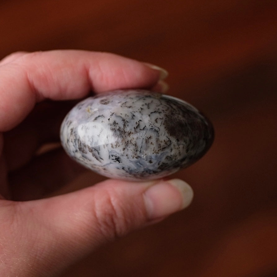Merlinite Palm Stone | Dendritic Opal Palmstone