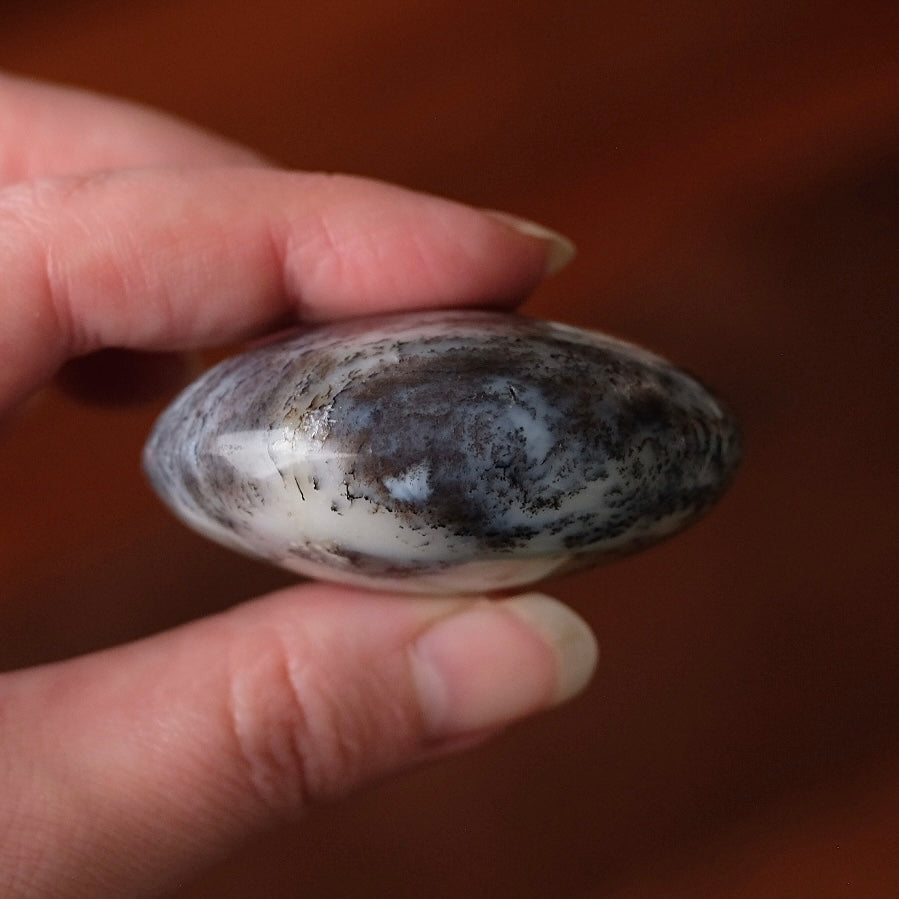 Merlinite Palm Stone | Dendritic Opal Palmstone