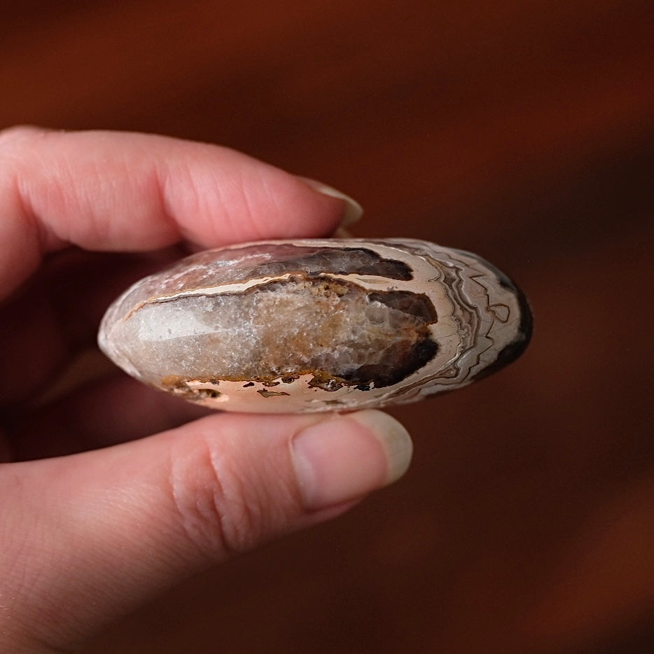 Crazy Lace Agate Palm | Mexican Crazy Lace Crystal Palm