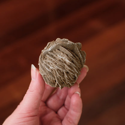 Desert Rose Selenite Specimen | Gypsum Raw Crystal
