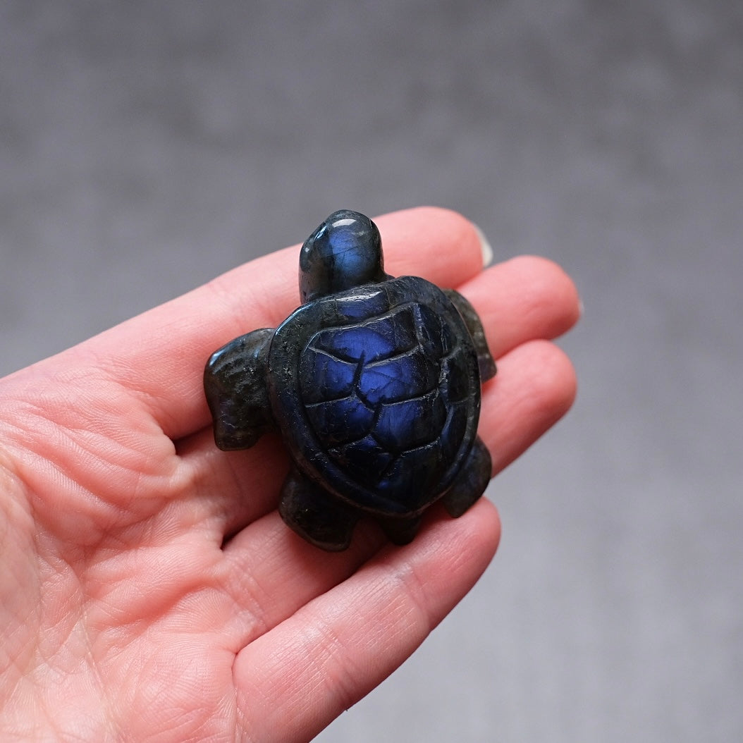 Labradorite Turtle Carving | Crystal Animal | Crystal Turtle