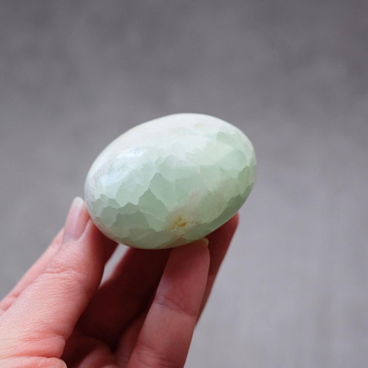 Caribbean Calcite Palm | Blue Calcite Crystal Palmstone