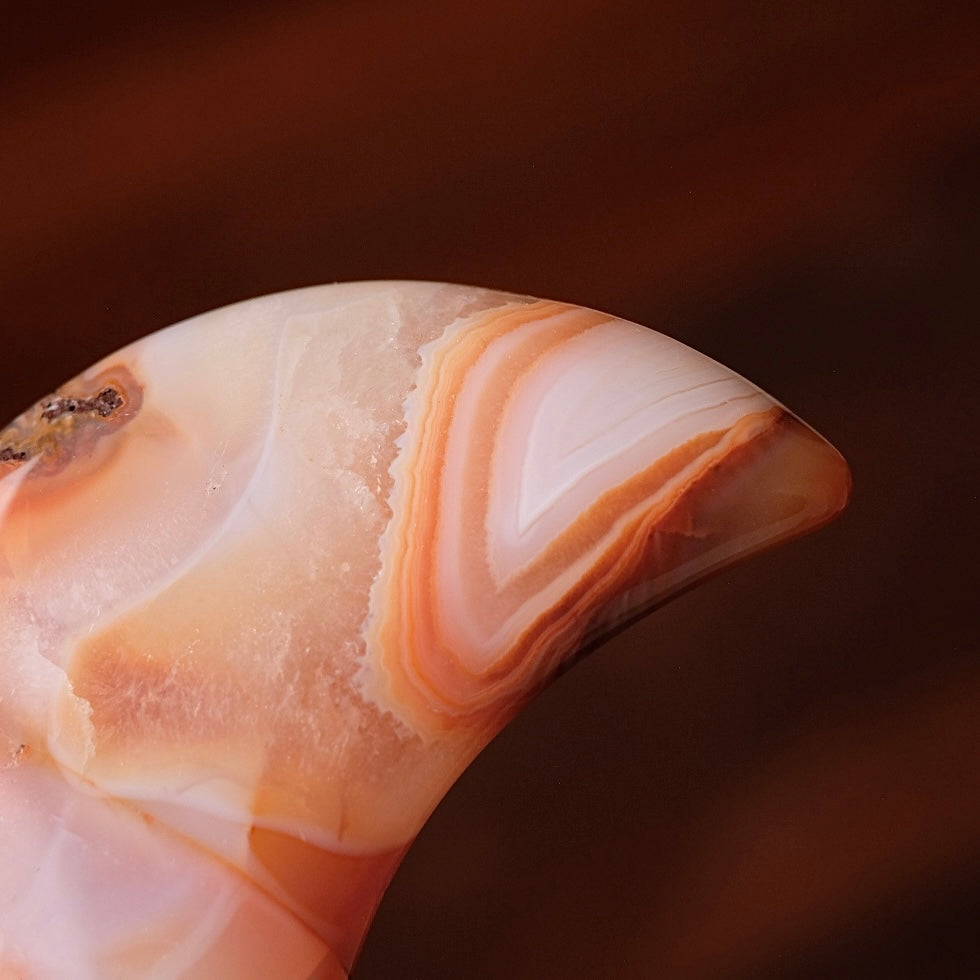 Carnelian Moon & Stand | Carved Crystal Moon Display Set