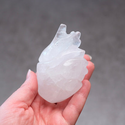 Clear Quartz Anatomical Heart Carving | Human Crystal Heart