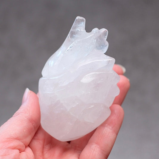 Clear Quartz Anatomical Heart Carving | Human Crystal Heart
