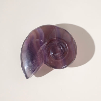 Yttrium Fluorite Ammonite Carving | Pink Fluorite Crystal Shell