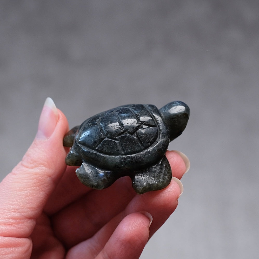 Labradorite Turtle Carving | Crystal Animal | Crystal Turtle