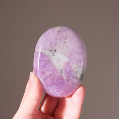 Rare Kunzite Palm | Large Pink Kunzite Crystal Palm