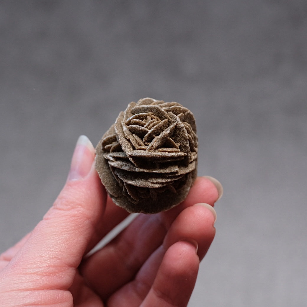 Desert Rose Selenite Specimen | Gypsum Raw Crystal