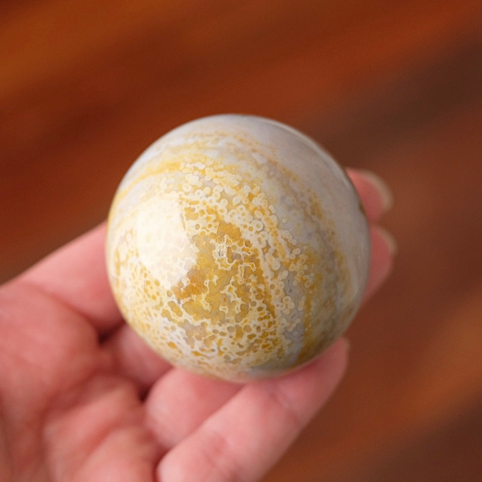 Ocean Jasper Sphere | Yellow Orbicular Jasper Crystal Sphere