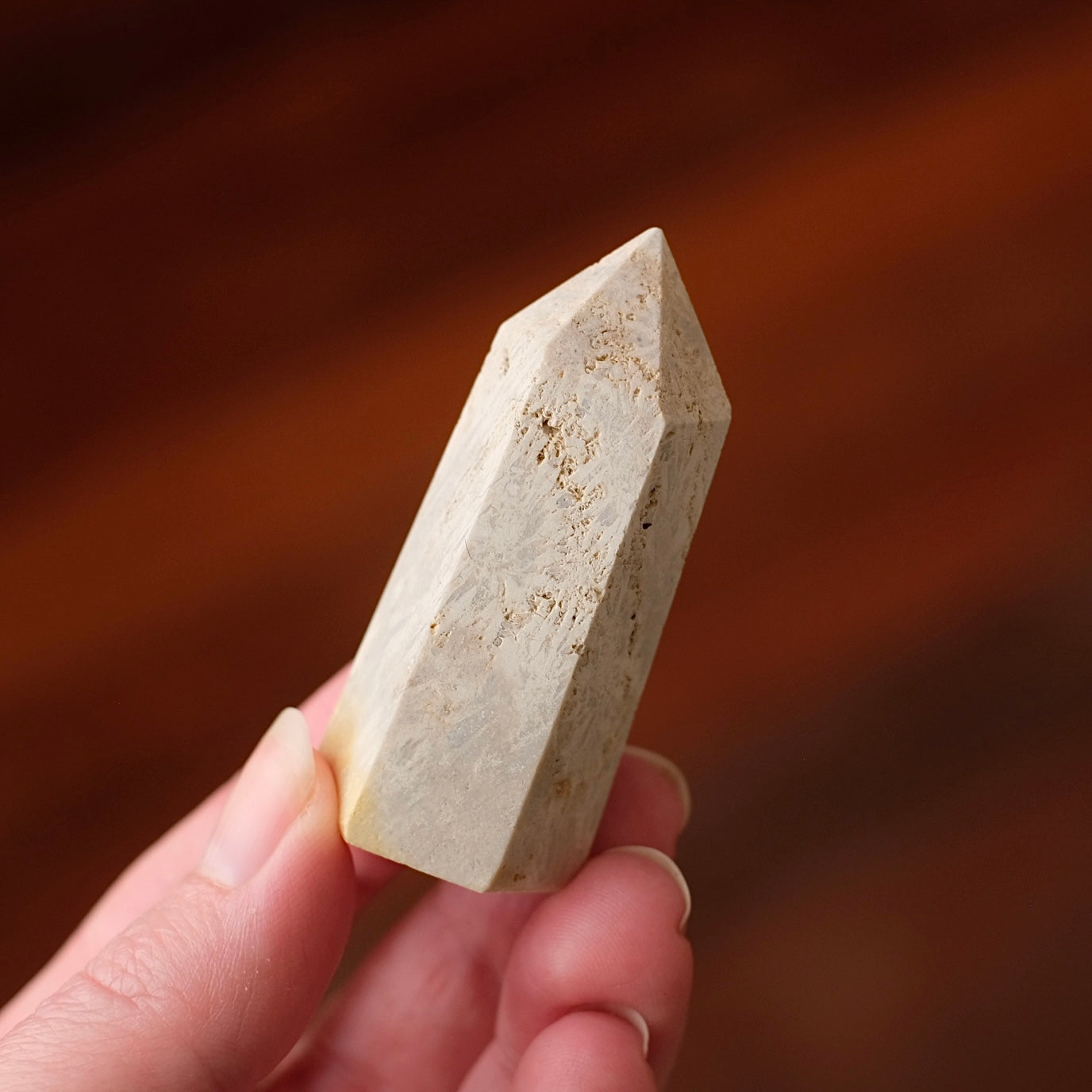 Coral Fossil Point | Coral Crystal Tower
