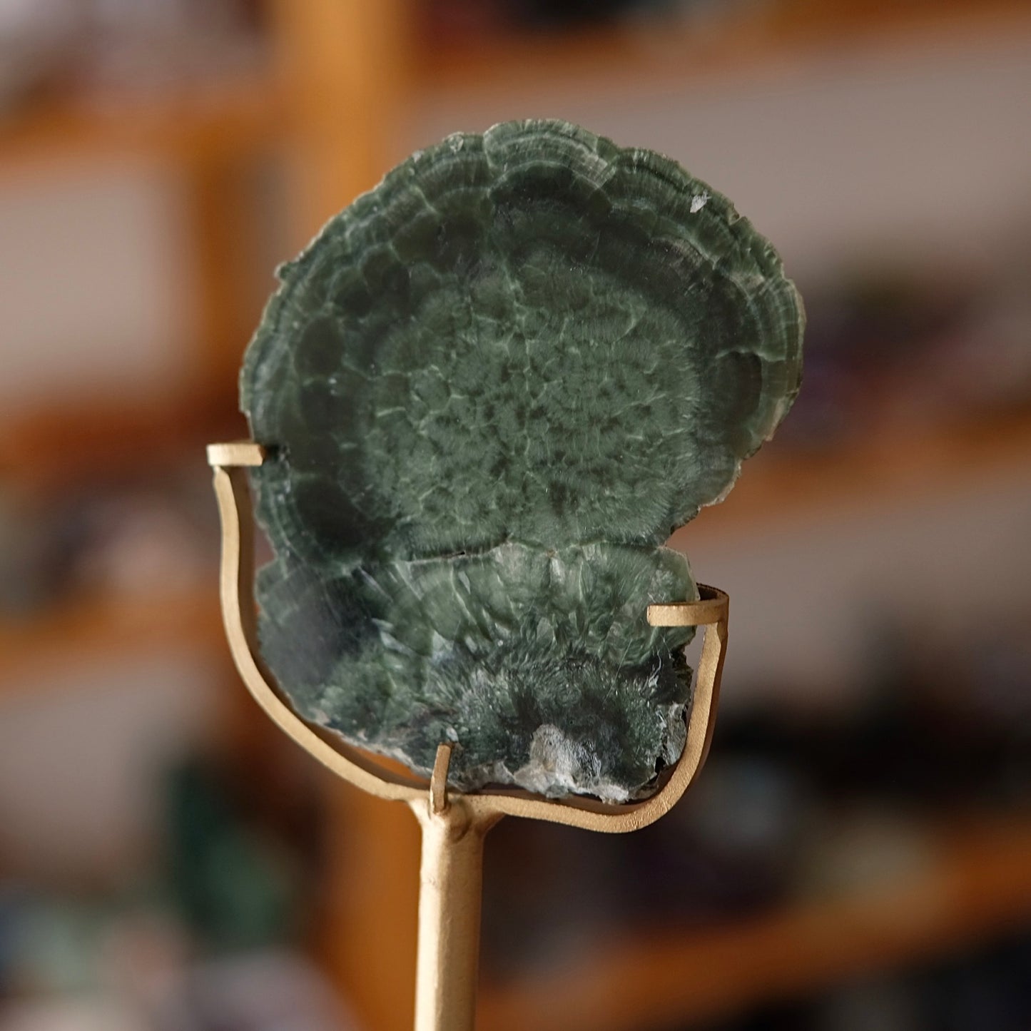 Seraphinite Slice + Stand | Polished Seraphinite Slab