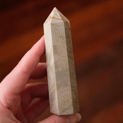 Coral Fossil Point | Coral Crystal Tower