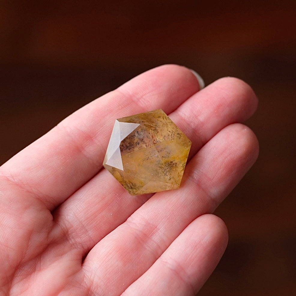 Dendritic Quartz Hexagon | Golden Healer Crystal Jewel | Star of David