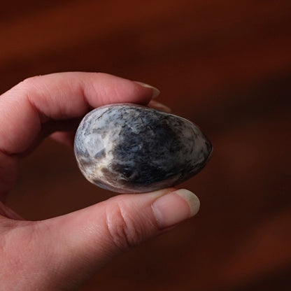 Merlinite Palm Stone | Dendritic Opal Palmstone