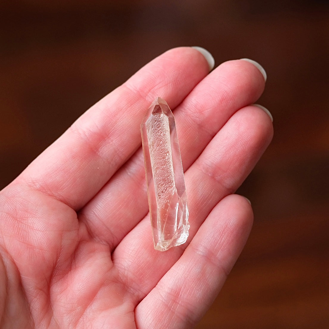 Starbrary Quartz Point | Quartz Crystal Specimen