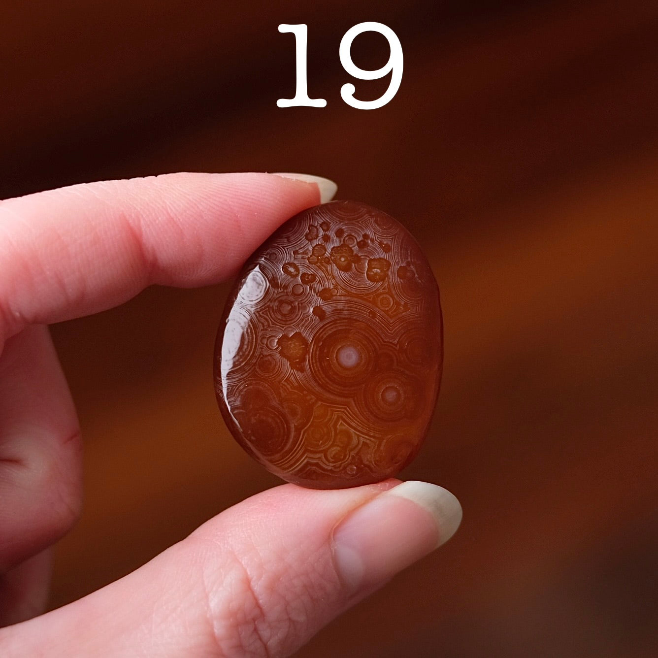 You Choose! Gobi Agate | Gobi Desert Agates