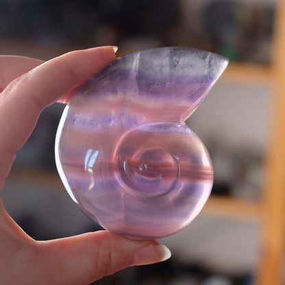 Yttrium Fluorite Ammonite Carving | Pink Fluorite Crystal Shell