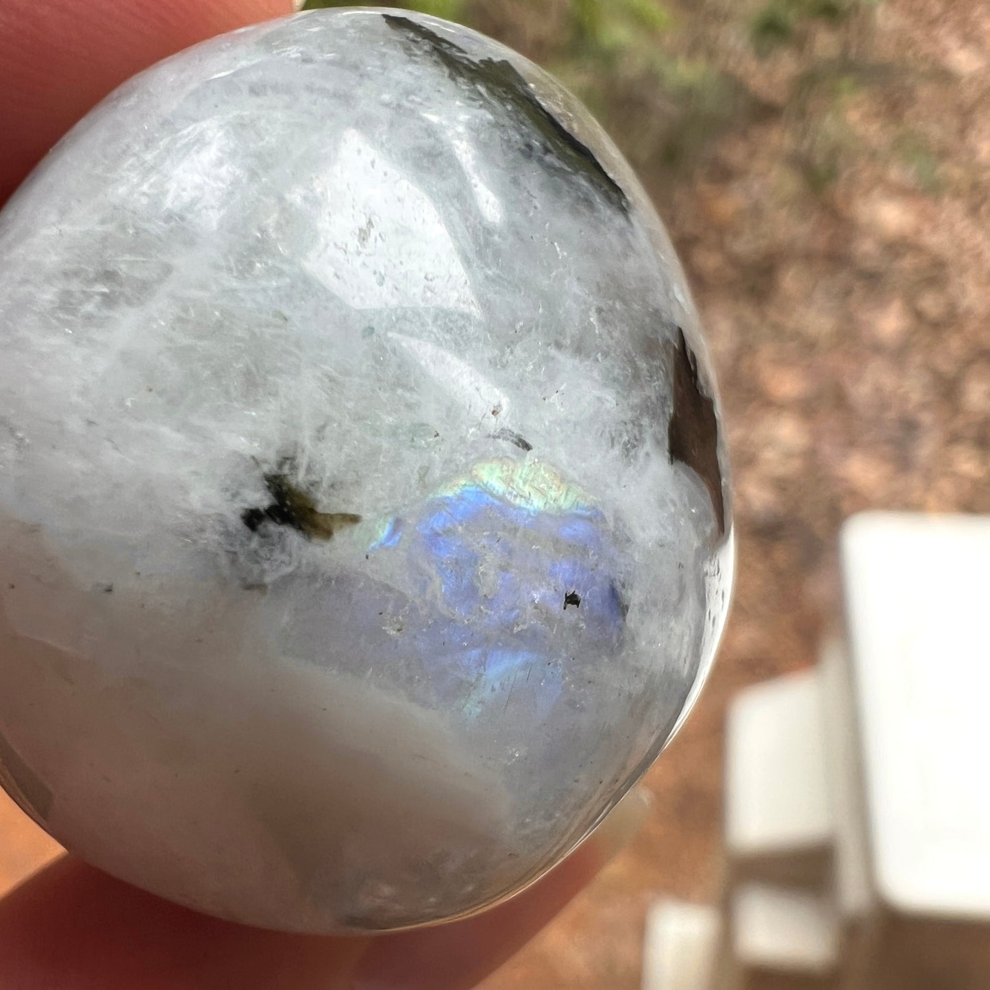 Rainbow Moonstone + Aquamarine Tumble | Blue Moonstone Tumbled Crystal