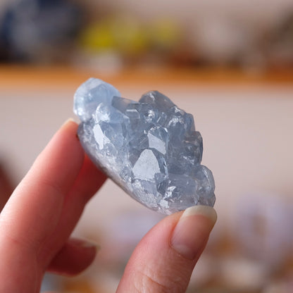 Blue Celestite Cluster | Celestine Crystal Specimen