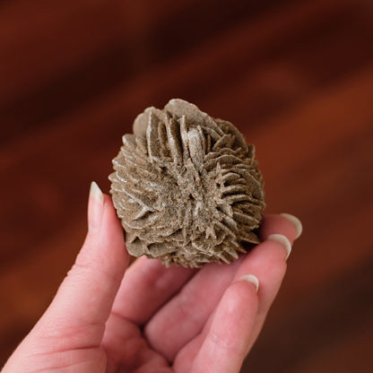 Desert Rose Selenite Specimen | Gypsum Raw Crystal