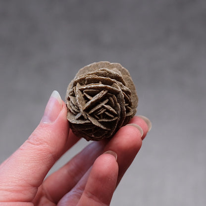 Desert Rose Selenite Specimen | Gypsum Raw Crystal
