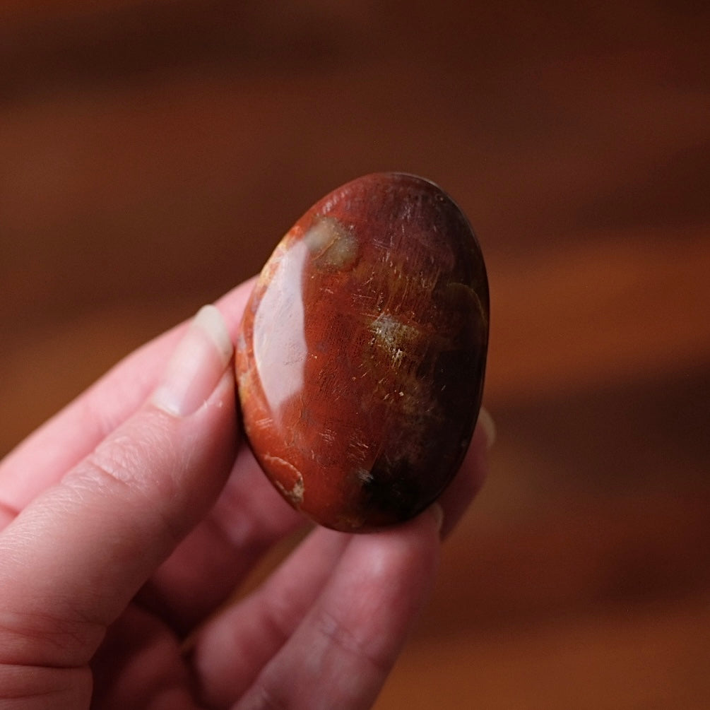 Red Petrified Wood Palm | Fossilized Wood Crystal Palmstone