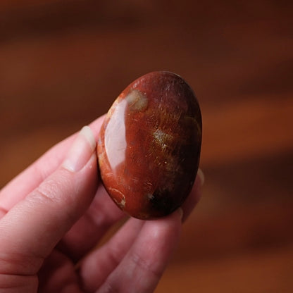 Red Petrified Wood Palm | Fossilized Wood Crystal Palmstone