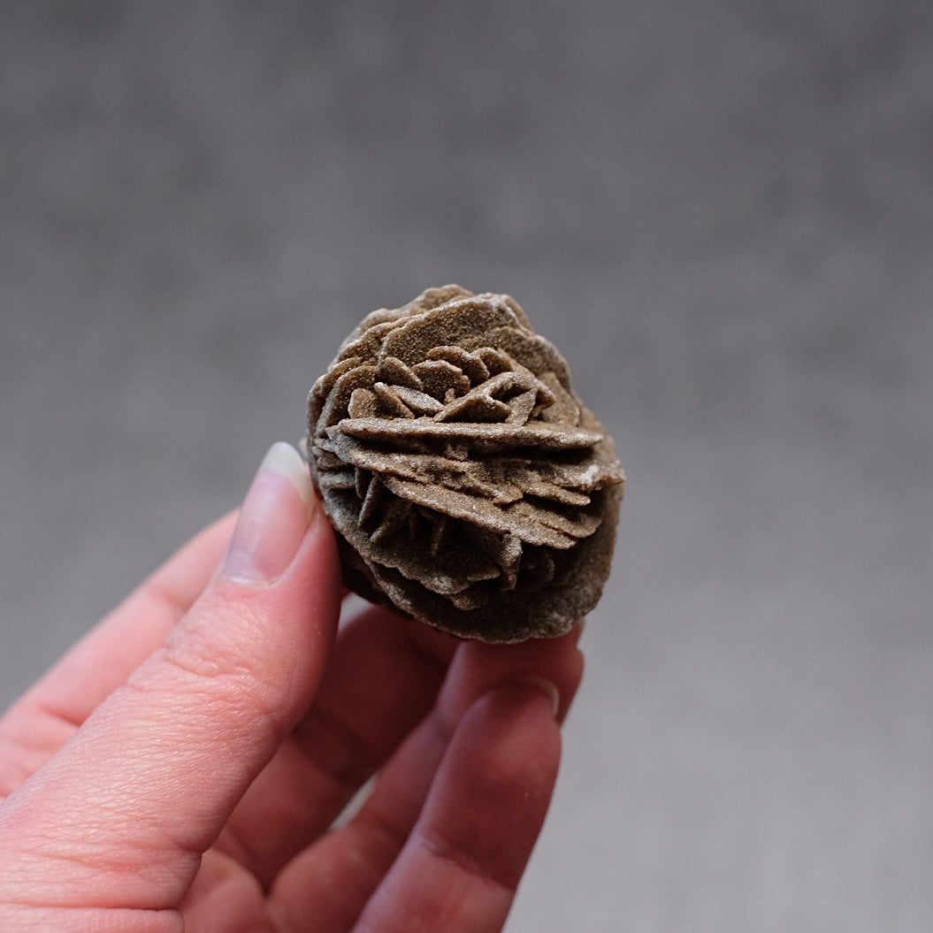 Desert Rose Selenite Specimen | Gypsum Raw Crystal