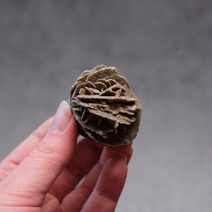 Desert Rose Selenite Specimen | Gypsum Raw Crystal