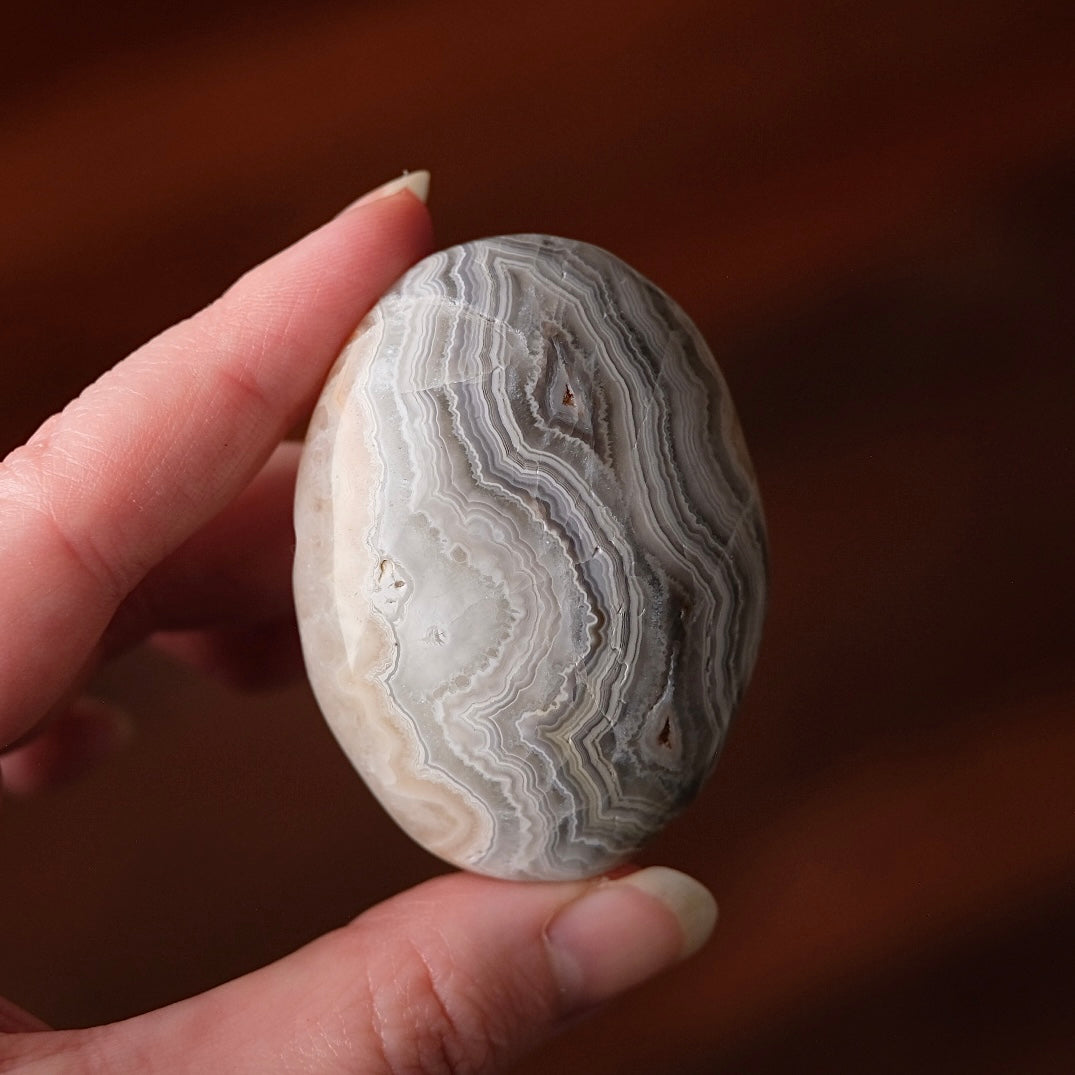Crazy Lace Agate Palm | Mexican Crazy Lace Crystal Palm
