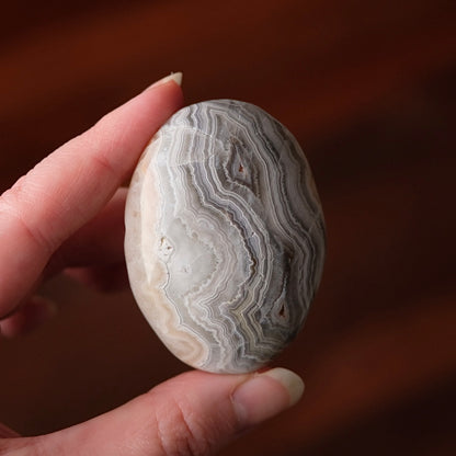 Crazy Lace Agate Palm | Mexican Crazy Lace Crystal Palm