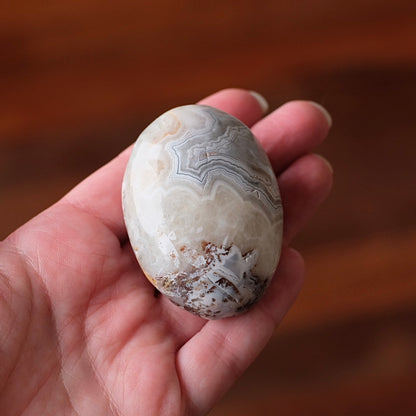 Grey Crazy Lace Agate Palm | Mexican Crazy Lace Crystal Palm