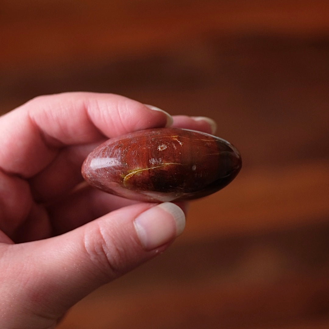 Red Petrified Wood Palm | Fossilized Wood Crystal Palmstone