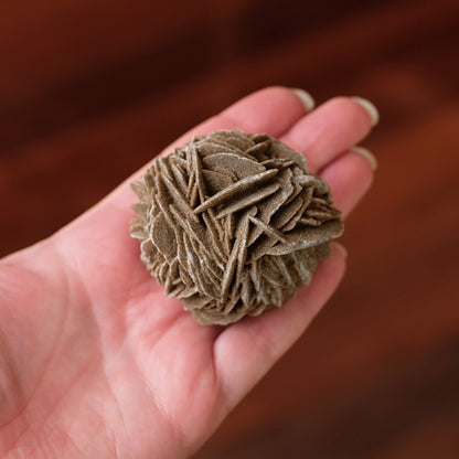 Desert Rose Selenite Specimen | Gypsum Raw Crystal